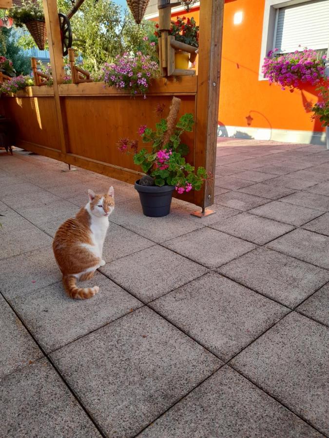 Trollenhof Apartment Wellendingen Bagian luar foto